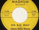 JOHNNY GUITAR WATSON 