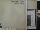 BABYSHAMBLES - Down In Albion   GATEFOLD 2 x VINYL LP + INNERS