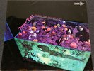 FEVER TREE Another Time Another Place RARE ORIG MCA UK LP MUPS 374 PSYCH GARAGE