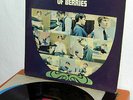 Rockin´Berries - Life is just a Bowl of Berries  UK 1965