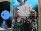FLEETWOOD MAC: