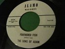 SONS OF ADAM   Feathered Fish. 1966 psych garage 45. DJ copy. LISTEN