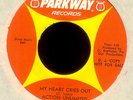 ACTION UNLIMITED My Heart Cries Out on Parkway Promo Garage Psych 45 Hear