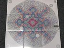 Red Hot Chili Peppers I'm With You Sessions Complete 9 x 7