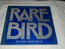 Rare Bird As Your Mind Flies By