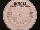Bird Rollins - No Heat No Hot Water 12