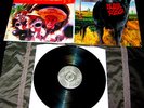 Blink 182 DUDE RANCH vinyl ONIGINAL GRILL CHEESE Black RARE