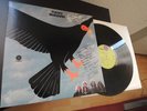 TUCKY BUZZARD SAME LP IN 1971 MINT ARCHIV PROMO MEGA RAR