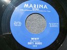 60s GARAGE--DIRTY WURDS--WHY / TAKIN' MY BLUES AWAY--MARINA 502