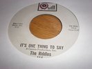 45 RIDDLES  - IT'S ONE THING TO SAY (QUILL116) RARE & EXCELLENT GARAGE / TEENBEA