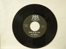 The Tridels-Image Of My Love/Land Of Love-San-Dee 1008-DOO WOP HEAR