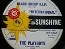 Obscure/The Playboys/Black Sheep R.I.P./Garage Freak-Beat Psyche/OZ Sunshine La