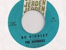 THE JUVENILES : Bo Diddley/Yes I Believe (Jerden 770)1965 NW Raw Garage 45 HEAR