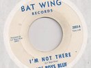 LIL' BOYS BLUE :  I'm Not There  (Bat Wing 2003) Orig BFTG Garage Punk 45 LISTEN