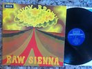 SAVOY BROWN BLUES BAND 