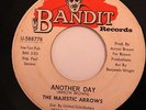 70'S 45-MAJESTIC ARROWS-ANOTHER DAY /DOING IT FOR US on BANDIT