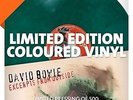 David Bowie 