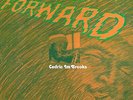 studio one LP:CEDRIC BROOKS-im flash forward   (hear)