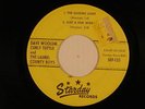 LAUREL COUNTY BOYS gospel bluegrass 45 ep ROAD OF SHAME + 3   STARDAY 135 VG-