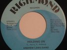 ANDREW LEWIS BAND Holding On RICHMOND - RARE MODERN SOUL FUNK 45 LISTEN