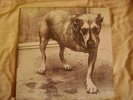 ALICE IN CHAINS   3 Legged Dog Original Vinyl 2-LP