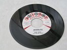 MISERLOU DICK DALE 45