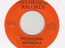 GARAGE / PSYCH   -- SOMETHING WILD -- TRIPPIN' OUT / SHE'S KINDA WEIRD -ORIGINAL