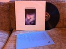 THE HOMOSEXUALS Record LP vinyl orig UK post punk Recommended Black Noise