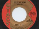 Rare Teen / Doo Wop 45 - Bobby Gee & Celestials - Julie Is Mine- Stacy 922- HEAR