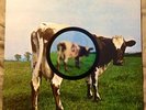 Pink Floyd Atom Heart Mother Lp (con poster piccolo interno)