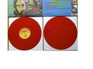 Roky Erickson - The Evil One  RED 2LP Very Limited