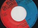 '87 SLIGO INN KILLER DIGI 45 SHATTER NILE HACKLE THEM BODY rare ?