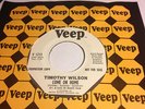 NM NORTHERN SOUL 45/ TIMOTHY WILSON 