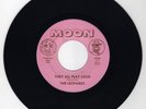 Leopards They All Play Loud power pop kbd Kinks Village Green garage 45 hear