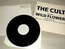 THE CULT - WILD FLOWER - UK WHITE LABEL PROMO 12