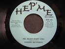 SHERRY RICHARDS 45 Mr. Right HEP ME boogie synth funk modern soul NM