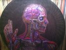 Tool Lateralus Promo Record Limited To 500 Picture Disc