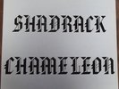 Private Psych LP SHADRACK CHAMELEON S/T IGL Orig. RARE GRAIL Hear