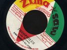 1095 LEN BROWN & KING BURNETT-THEOPHILUS- ALL STARS-ZIMA-REGGAE 45 7