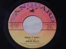 Mod R&B Nor Soul Dancer 45 Shake It Baby/Stomach Ache JUNIOR WELLS Vanguard EX