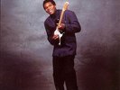 Robert Cray - Strong Persuader - Vinyl Record 2013 New