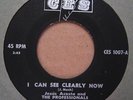 JESUS ACOSTA I Can See Clearly Now / Guadija CES Belize Funk Soul Salsa 45