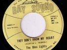 THE BLEU LIGHTS - THEY DONT KNOW MY HEART -  LISTEN