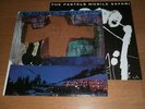 the PASTELS Mobile Safari LP vinyl Up Records