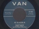 Ohio Bluegrass 45  Randy Nunley & Pehlam Valley Boys  MISSING ME  Van  hear