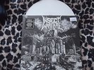 RARE INSECT WARFARE LP, NAPALM DEATH, DISRUPT, NASUM, ROTTEN SOUND, BLOCKHEADS