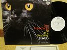JUN FUKAMACHI AT THE STEINWAY (TAKE 2) WHITE LABEL PROMO LP JAPAN