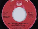 70s Soul 45 CHARISMA BAND Ain't Nothing Like Your Love BUDDAH HEAR NM