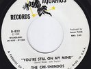 CRE-SHENDOS You're Still On My Mind RARE M- northern soul 45 sweet soul LISTEN