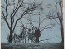 THE COLOURS - Song Without End | PRIVATE Texas folk psych SEALED LP | LISTEN